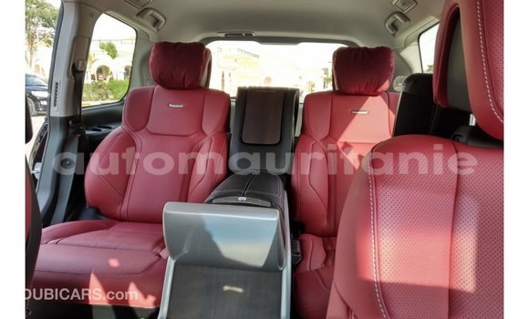 Buy Import Toyota Land Cruiser Black Car in Import - Dubai in Adrar Buy Import Toyota Land Cruiser Black Car in Import - Dubai in Adrar