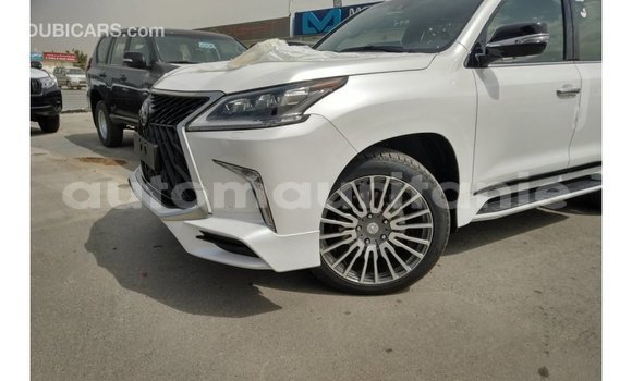 Acheter Import Voiture Lexus LX Blanc à Import - Dubai, Adrar