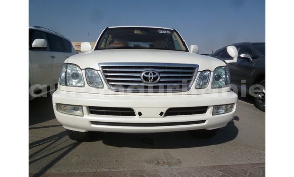 Acheter Import Voiture Toyota Land Cruiser Blanc à Import - Dubai, Adrar Acheter Import Voiture Toyota Land Cruiser Blanc à Import - Dubai, Adrar