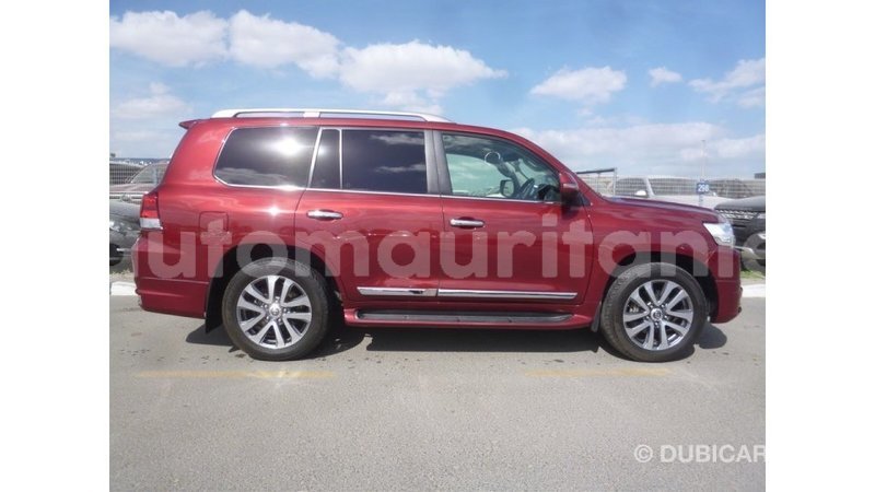 Big with watermark 035f11bc cabb 4af5 a173 56da310c9c93