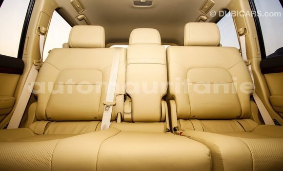 Acheter Import Voiture Toyota Land Cruiser Blanc à Import - Dubai, Adrar Acheter Import Voiture Toyota Land Cruiser Blanc à Import - Dubai, Adrar
