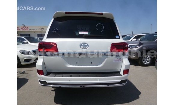 Acheter Import Voiture Toyota Land Cruiser Blanc à Import - Dubai, Adrar Acheter Import Voiture Toyota Land Cruiser Blanc à Import - Dubai, Adrar