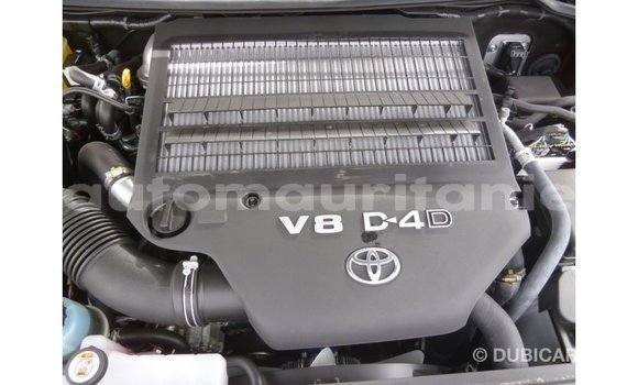 Acheter Import Voiture Toyota Land Cruiser Autre à Import - Dubai, Adrar Acheter Import Voiture Toyota Land Cruiser Autre à Import - Dubai, Adrar