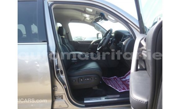 Buy Import Lexus LX Other Car in Import - Dubai in Adrar Buy Import Lexus LX Other Car in Import - Dubai in Adrar