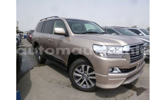 Acheter Import Voiture Toyota Land Cruiser Autre à Import - Dubai, Adrar Acheter Import Voiture Toyota Land Cruiser Autre à Import - Dubai, Adrar