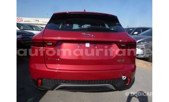 Acheter Import Voiture Jaguar E-Pace Rouge à Import - Dubai, Adrar Acheter Import Voiture Jaguar E-Pace Rouge à Import - Dubai, Adrar