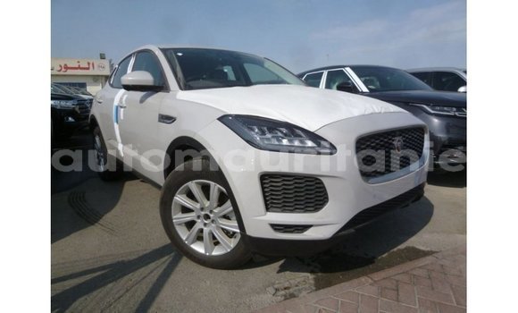 Acheter Import Voiture Jaguar E-Pace Blanc à Import - Dubai, Adrar