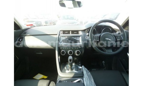 Buy Import Jaguar E-Pace White Car in Import - Dubai in Adrar Buy Import Jaguar E-Pace White Car in Import - Dubai in Adrar