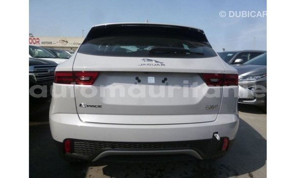 Buy Import Jaguar E-Pace White Car in Import - Dubai in Adrar Buy Import Jaguar E-Pace White Car in Import - Dubai in Adrar