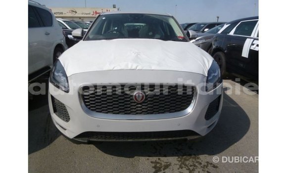 Buy Import Jaguar E-Pace White Car in Import - Dubai in Adrar Buy Import Jaguar E-Pace White Car in Import - Dubai in Adrar
