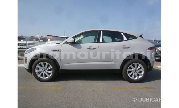 Buy Import Jaguar E-Pace White Car in Import - Dubai in Adrar Buy Import Jaguar E-Pace White Car in Import - Dubai in Adrar