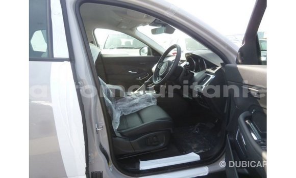Buy Import Jaguar E-Pace White Car in Import - Dubai in Adrar Buy Import Jaguar E-Pace White Car in Import - Dubai in Adrar