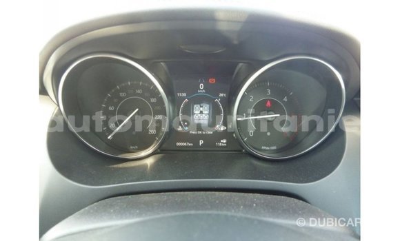 Buy Import Jaguar E-Pace White Car in Import - Dubai in Adrar Buy Import Jaguar E-Pace White Car in Import - Dubai in Adrar