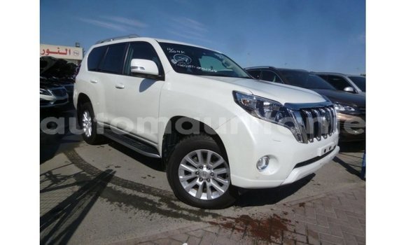 Acheter Import Voiture Toyota Prado Blanc à Import - Dubai, Adrar Acheter Import Voiture Toyota Prado Blanc à Import - Dubai, Adrar