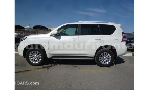 Acheter Import Voiture Toyota Prado Blanc à Import - Dubai, Adrar Acheter Import Voiture Toyota Prado Blanc à Import - Dubai, Adrar