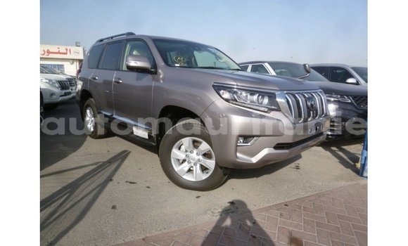 Acheter Import Voiture Toyota Prado Autre à Import - Dubai, Adrar Acheter Import Voiture Toyota Prado Autre à Import - Dubai, Adrar