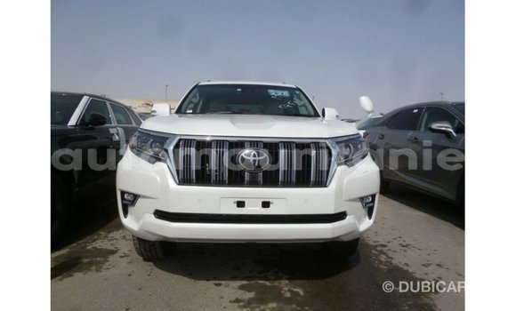 Acheter Import Voiture Toyota Prado Blanc à Import - Dubai, Adrar Acheter Import Voiture Toyota Prado Blanc à Import - Dubai, Adrar
