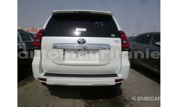 Acheter Import Voiture Toyota Prado Blanc à Import - Dubai, Adrar Acheter Import Voiture Toyota Prado Blanc à Import - Dubai, Adrar