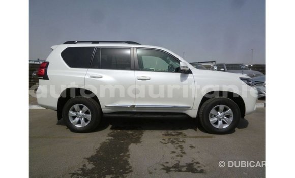 Acheter Import Voiture Toyota Prado Blanc à Import - Dubai, Adrar Acheter Import Voiture Toyota Prado Blanc à Import - Dubai, Adrar