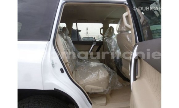 Acheter Import Voiture Toyota Prado Blanc à Import - Dubai, Adrar Acheter Import Voiture Toyota Prado Blanc à Import - Dubai, Adrar