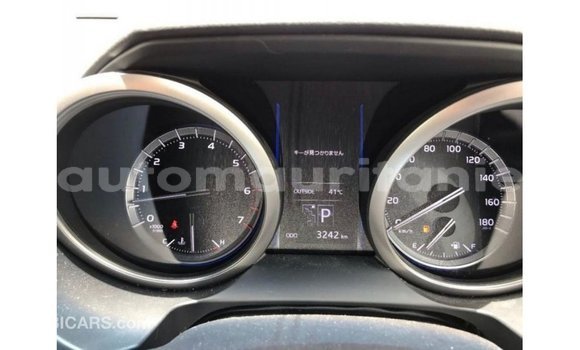 Acheter Import Voiture Toyota Prado Blanc à Import - Dubai, Adrar Acheter Import Voiture Toyota Prado Blanc à Import - Dubai, Adrar