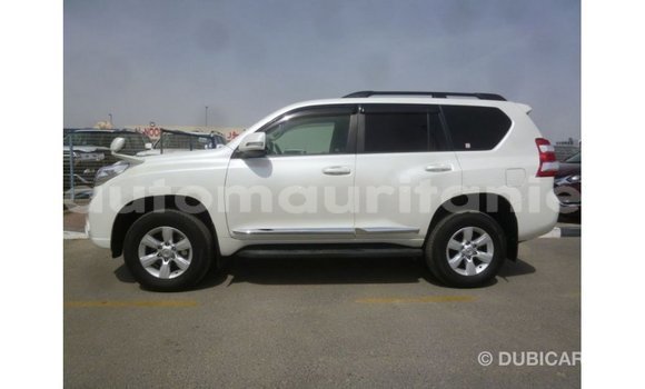 Acheter Import Voiture Toyota Prado Blanc à Import - Dubai, Adrar Acheter Import Voiture Toyota Prado Blanc à Import - Dubai, Adrar