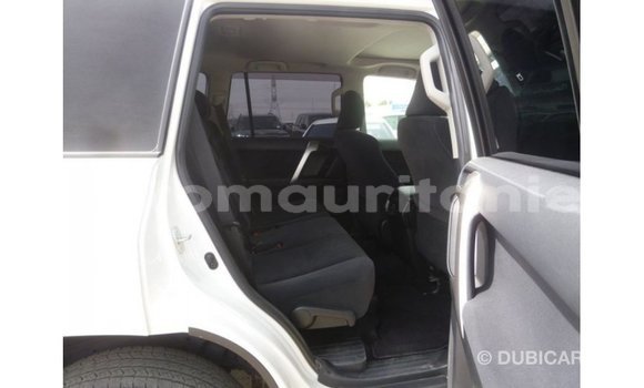 Acheter Import Voiture Toyota Prado Blanc à Import - Dubai, Adrar Acheter Import Voiture Toyota Prado Blanc à Import - Dubai, Adrar