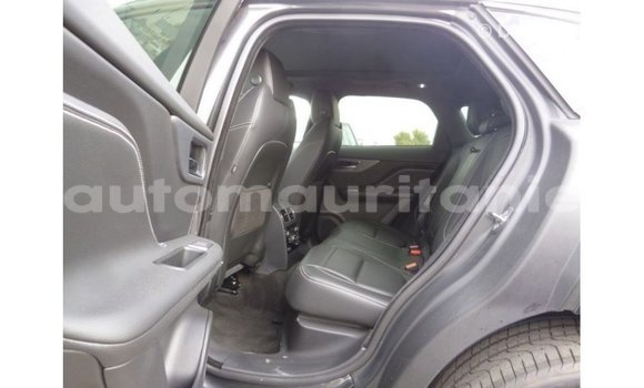 Acheter Import Voiture Jaguar F-Type Noir à Import - Dubai, Adrar Acheter Import Voiture Jaguar F-Type Noir à Import - Dubai, Adrar