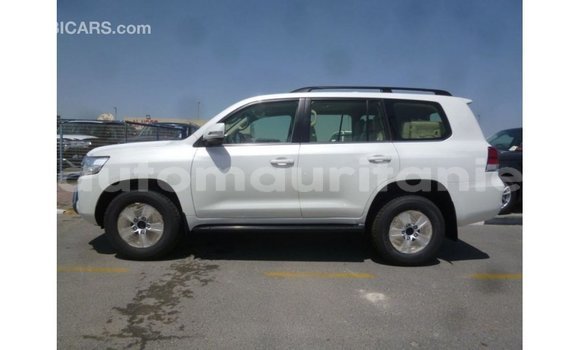 Acheter Import Voiture Toyota Land Cruiser Blanc à Import - Dubai, Adrar Acheter Import Voiture Toyota Land Cruiser Blanc à Import - Dubai, Adrar