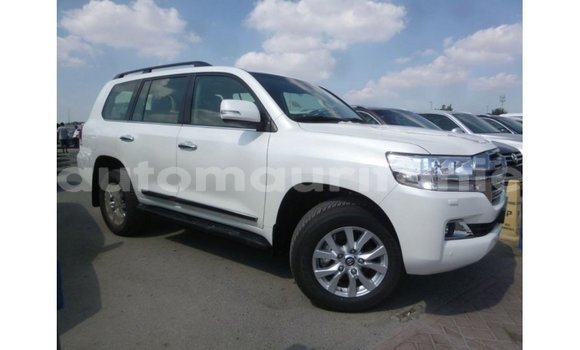 Acheter Import Voiture Toyota Land Cruiser Blanc à Import - Dubai, Adrar Acheter Import Voiture Toyota Land Cruiser Blanc à Import - Dubai, Adrar