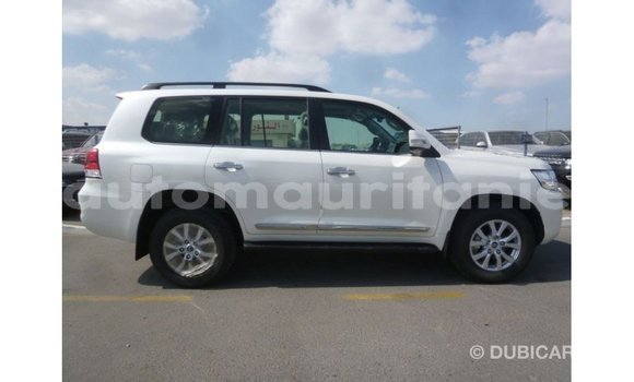 Acheter Import Voiture Toyota Land Cruiser Blanc à Import - Dubai, Adrar Acheter Import Voiture Toyota Land Cruiser Blanc à Import - Dubai, Adrar