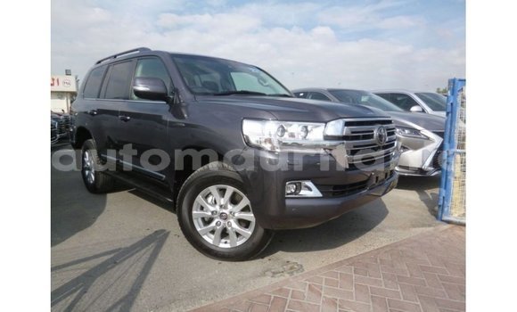 Acheter Import Voiture Toyota Land Cruiser Autre à Import - Dubai, Adrar Acheter Import Voiture Toyota Land Cruiser Autre à Import - Dubai, Adrar