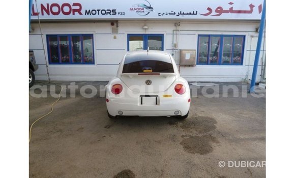 Acheter Import Voiture Volkswagen Beetle Blanc à Import - Dubai, Adrar Acheter Import Voiture Volkswagen Beetle Blanc à Import - Dubai, Adrar
