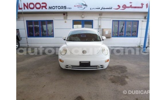 Acheter Import Voiture Volkswagen Beetle Blanc à Import - Dubai, Adrar Acheter Import Voiture Volkswagen Beetle Blanc à Import - Dubai, Adrar