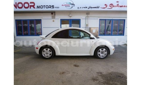 Acheter Import Voiture Volkswagen Beetle Blanc à Import - Dubai, Adrar Acheter Import Voiture Volkswagen Beetle Blanc à Import - Dubai, Adrar