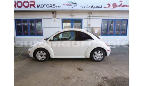 Acheter Import Voiture Volkswagen Beetle Blanc à Import - Dubai, Adrar Acheter Import Voiture Volkswagen Beetle Blanc à Import - Dubai, Adrar