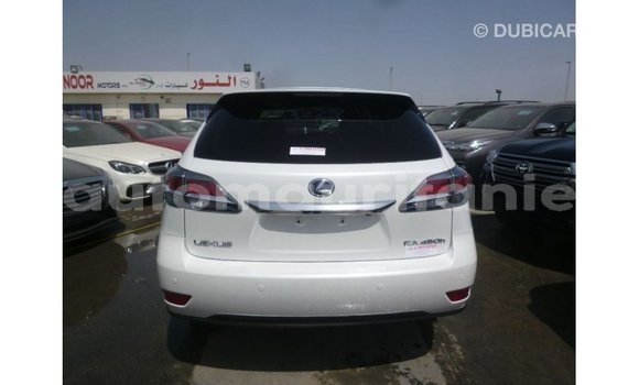 Acheter Import Voiture Lexus RX Blanc à Import - Dubai, Adrar Acheter Import Voiture Lexus RX Blanc à Import - Dubai, Adrar