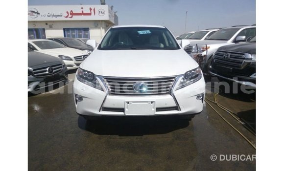 Acheter Import Voiture Lexus RX Blanc à Import - Dubai, Adrar Acheter Import Voiture Lexus RX Blanc à Import - Dubai, Adrar