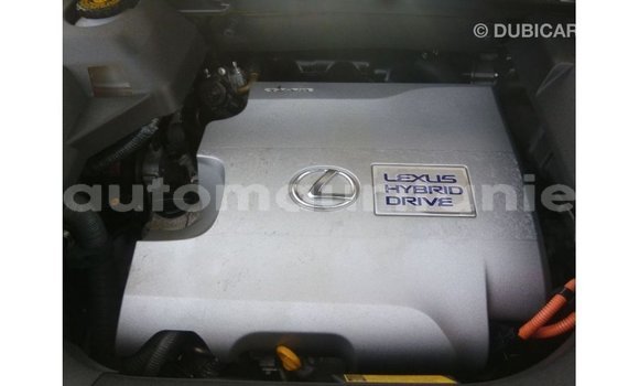 Acheter Import Voiture Lexus RX Blanc à Import - Dubai, Adrar Acheter Import Voiture Lexus RX Blanc à Import - Dubai, Adrar