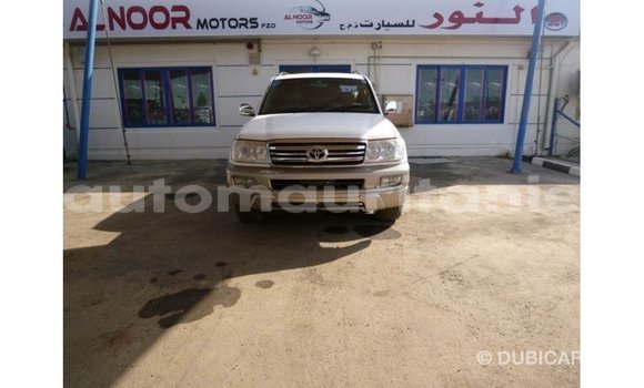 Acheter Import Voiture Toyota Land Cruiser Blanc à Import - Dubai, Adrar Acheter Import Voiture Toyota Land Cruiser Blanc à Import - Dubai, Adrar