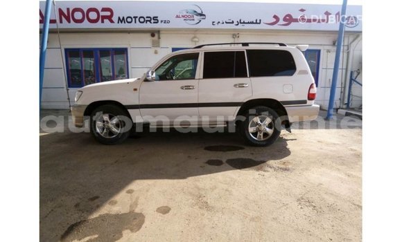 Acheter Import Voiture Toyota Land Cruiser Blanc à Import - Dubai, Adrar Acheter Import Voiture Toyota Land Cruiser Blanc à Import - Dubai, Adrar