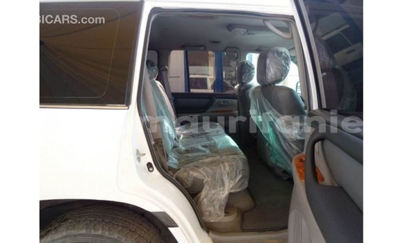 Acheter Import Voiture Toyota Land Cruiser Blanc à Import - Dubai, Adrar Acheter Import Voiture Toyota Land Cruiser Blanc à Import - Dubai, Adrar