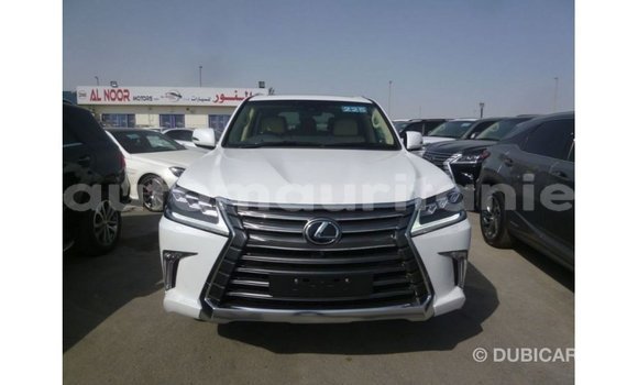 Acheter Import Voiture Lexus LX Blanc à Import - Dubai, Adrar Acheter Import Voiture Lexus LX Blanc à Import - Dubai, Adrar