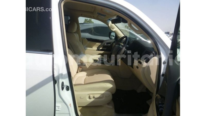 Big with watermark ee183d6b 2474 468a 896e 1337e3ca6592