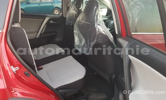 Acheter Import Utilitaire Toyota HiAce Rouge à Import - Dubai, Adrar Acheter Import Utilitaire Toyota HiAce Rouge à Import - Dubai, Adrar