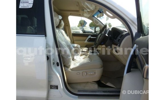Acheter Import Voiture Toyota Land Cruiser Blanc à Import - Dubai, Adrar Acheter Import Voiture Toyota Land Cruiser Blanc à Import - Dubai, Adrar