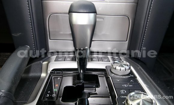 Buy Import Toyota Land Cruiser Black Car in Import - Dubai in Adrar Buy Import Toyota Land Cruiser Black Car in Import - Dubai in Adrar