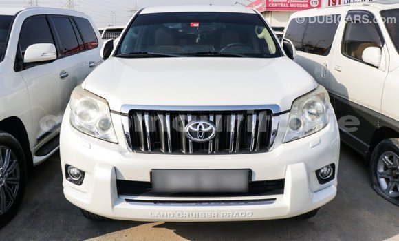 Acheter Import Voiture Toyota Prado Blanc à Import - Dubai, Adrar Acheter Import Voiture Toyota Prado Blanc à Import - Dubai, Adrar
