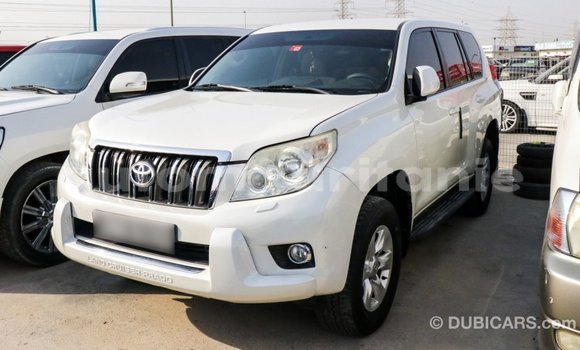 Acheter Import Voiture Toyota Prado Blanc à Import - Dubai, Adrar Acheter Import Voiture Toyota Prado Blanc à Import - Dubai, Adrar