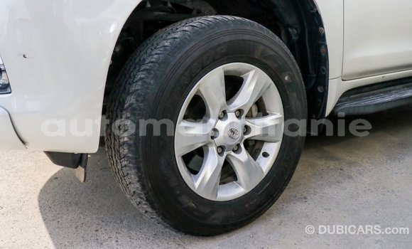 Acheter Import Voiture Toyota Prado Blanc à Import - Dubai, Adrar Acheter Import Voiture Toyota Prado Blanc à Import - Dubai, Adrar